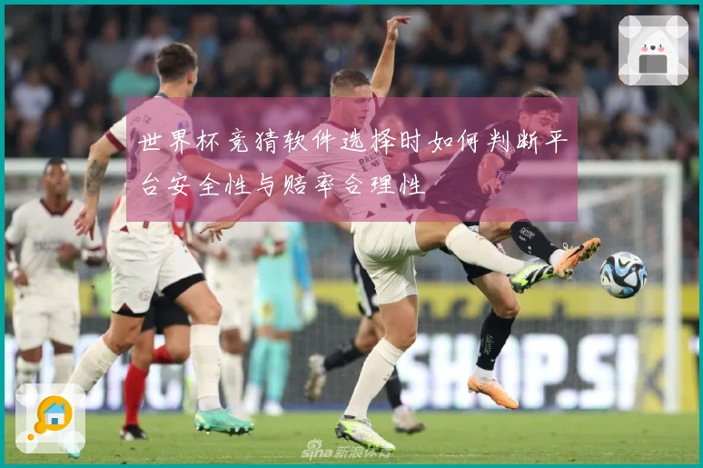 世界杯竞猜软件选择时如何判断平台安全性与赔率合理性