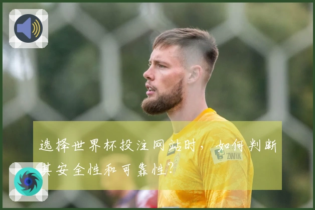 选择世界杯投注网站时，如何判断其安全性和可靠性？
